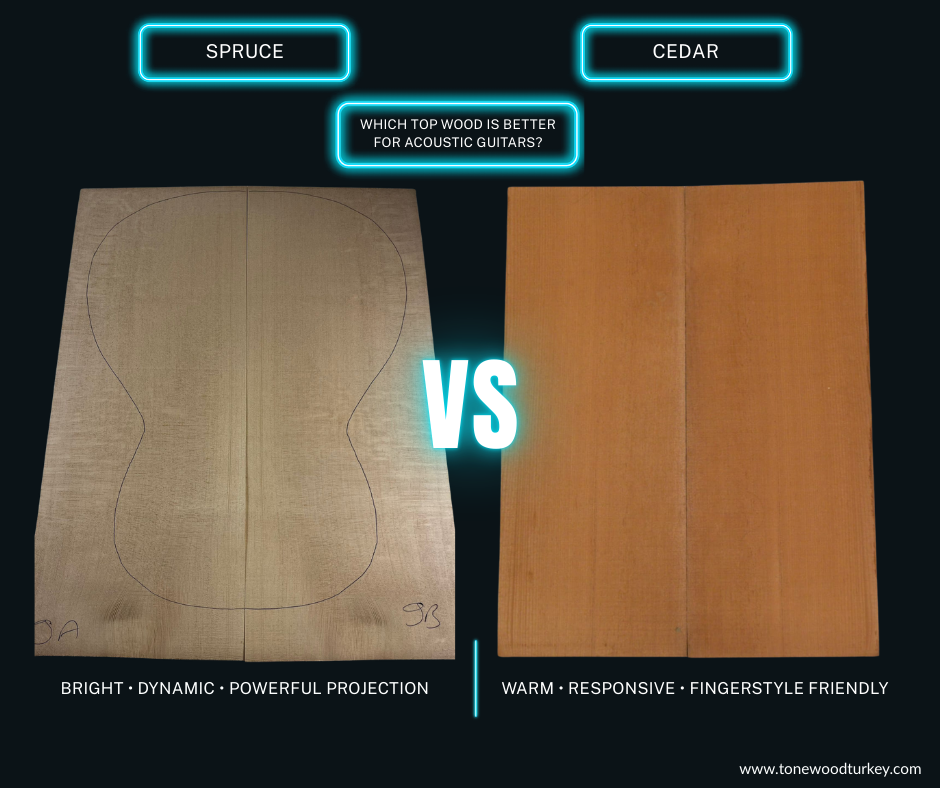 Spruce Top vs Cedar Top – Which Is Better for Acoustic Guitars?
