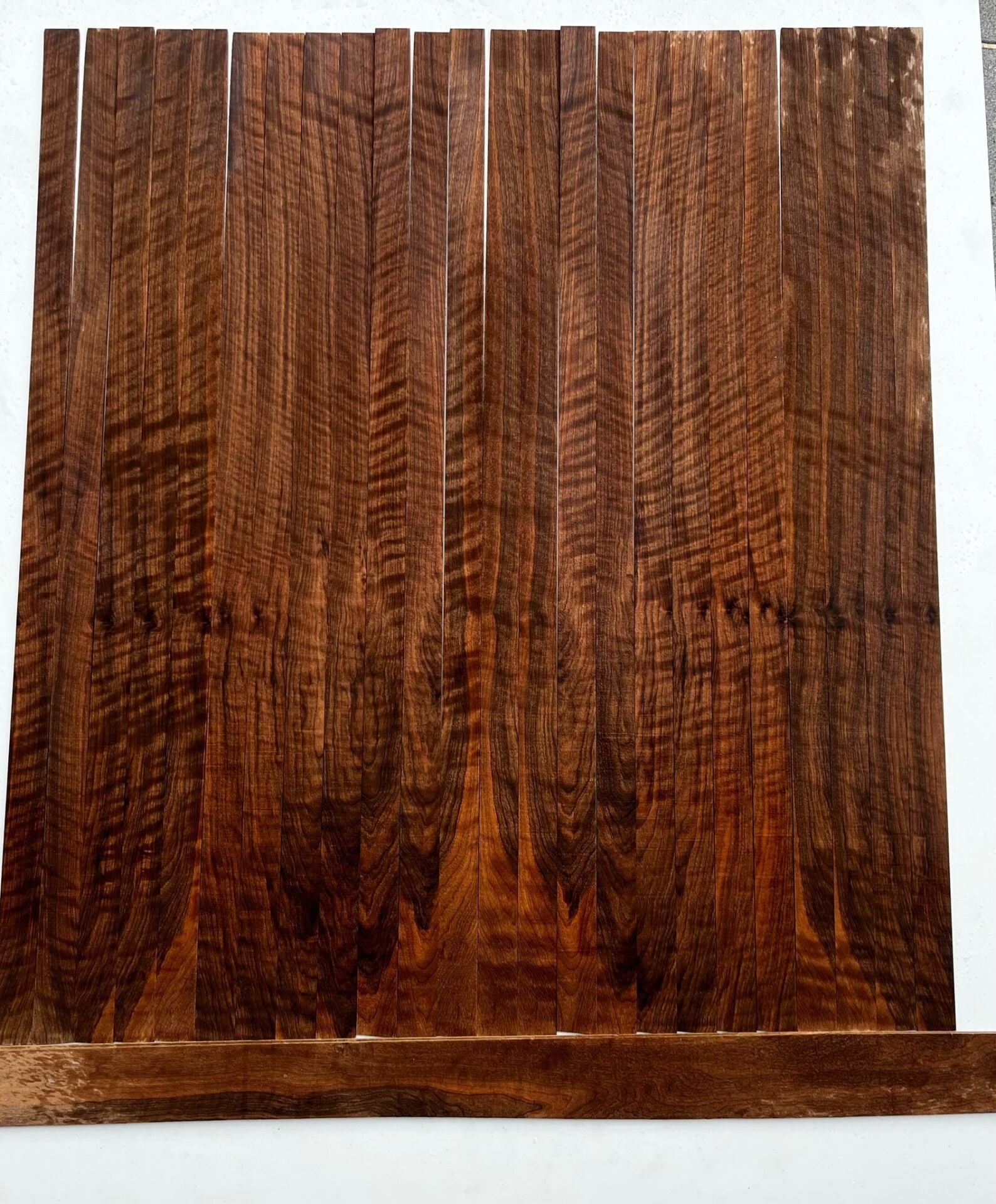 Bastogne Flame Walnut Oud Ribs Set No:1