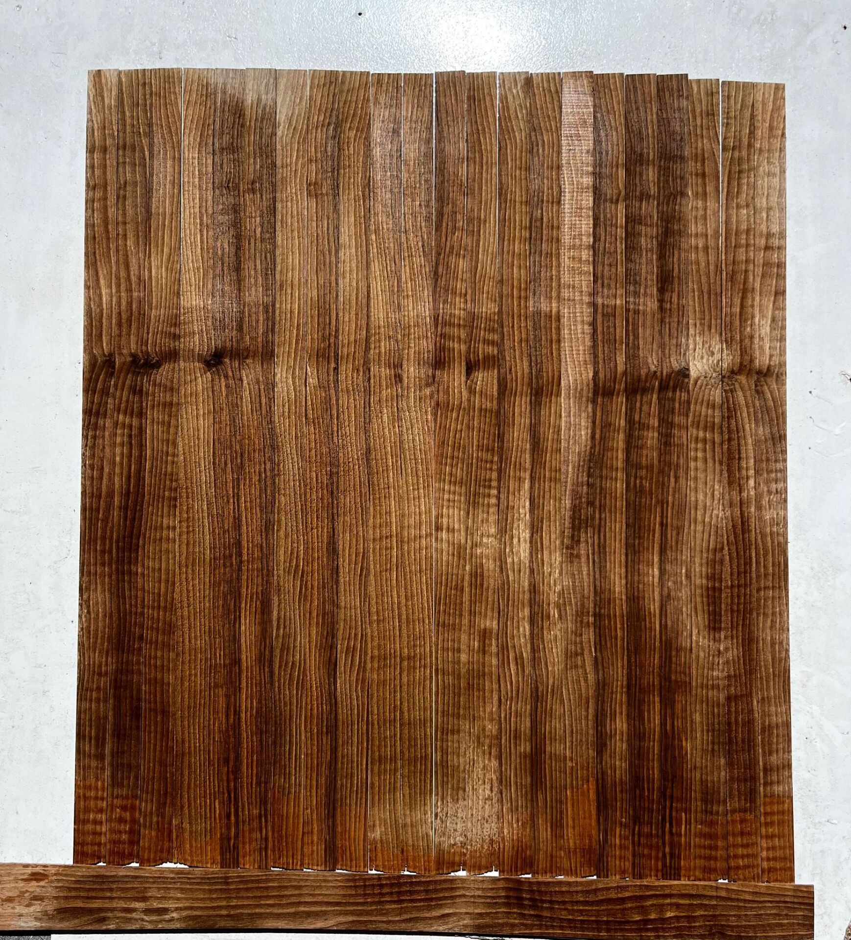 Turkish Black Flame Walnut Oud Ribs Set No:2