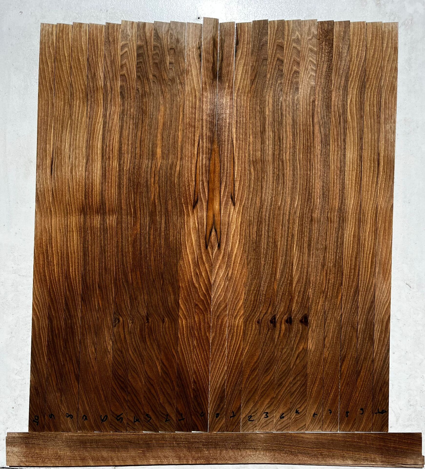 Turkish Black Walnut Oud Ribs Set No:3