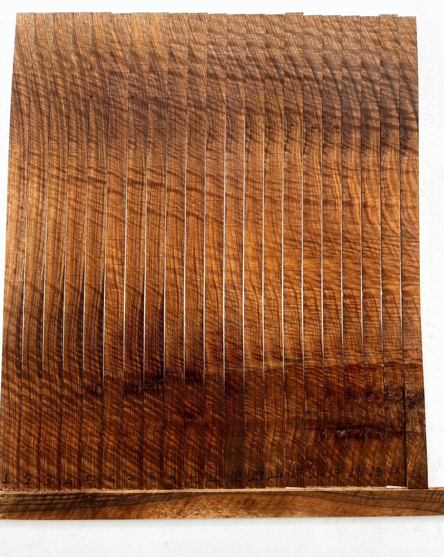 Master Grade Flamed Bastogne Walnut Oud Ribs Set No:6