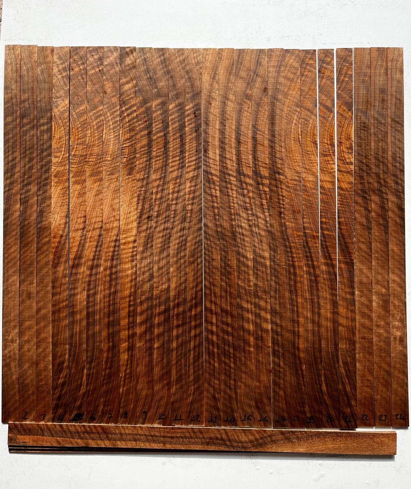 Master Grade Flamed Bastogne Walnut Oud Ribs Set No12
