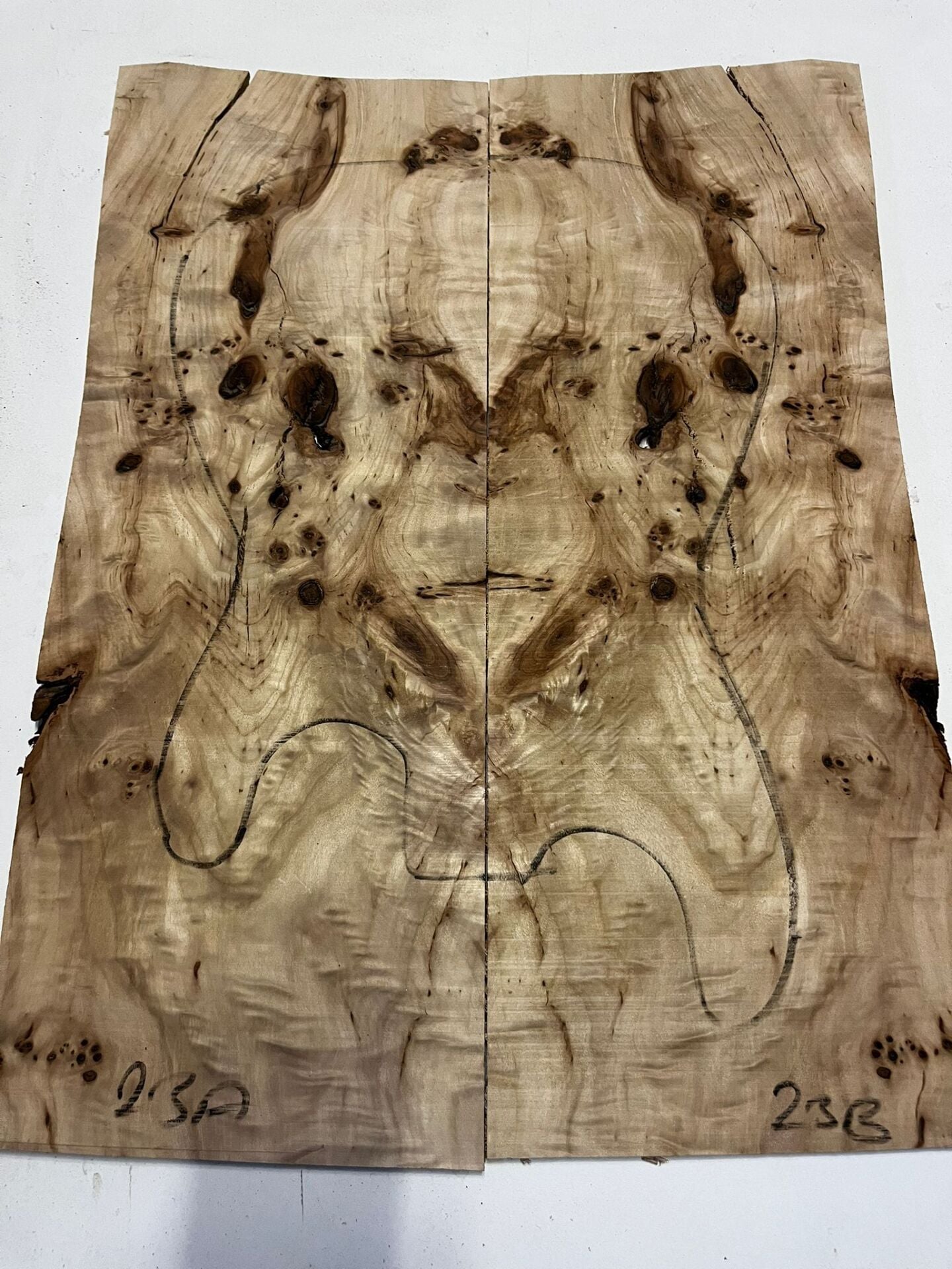 Master Grade Poplar Mappa Burl Bookmatched Guitar Drop Top Luthier Tonewood #23