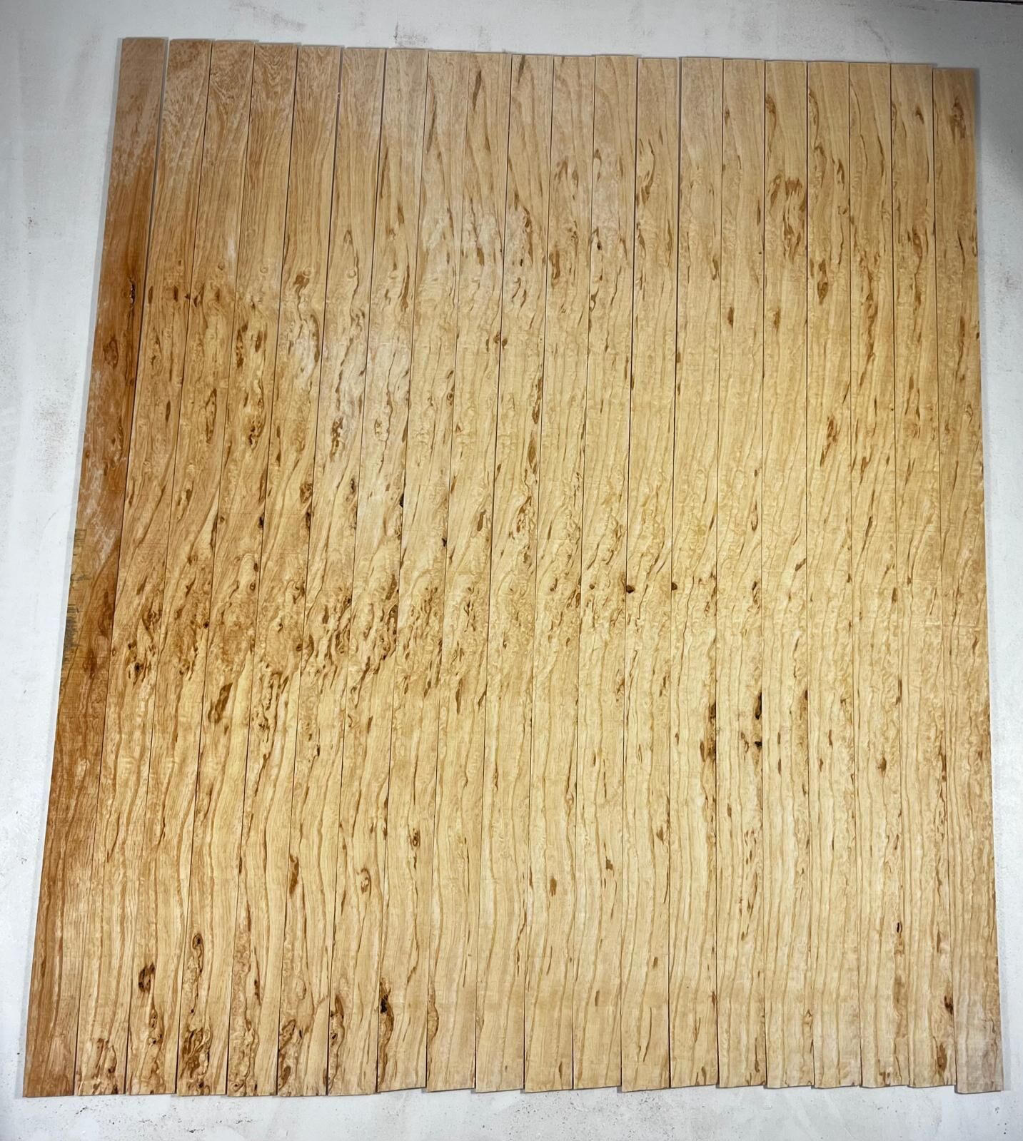 Master Grade Burl Ash Oud Ribs Set No1