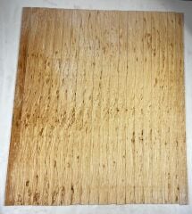 Master Grade Burl Ash Oud Ribs Set No1