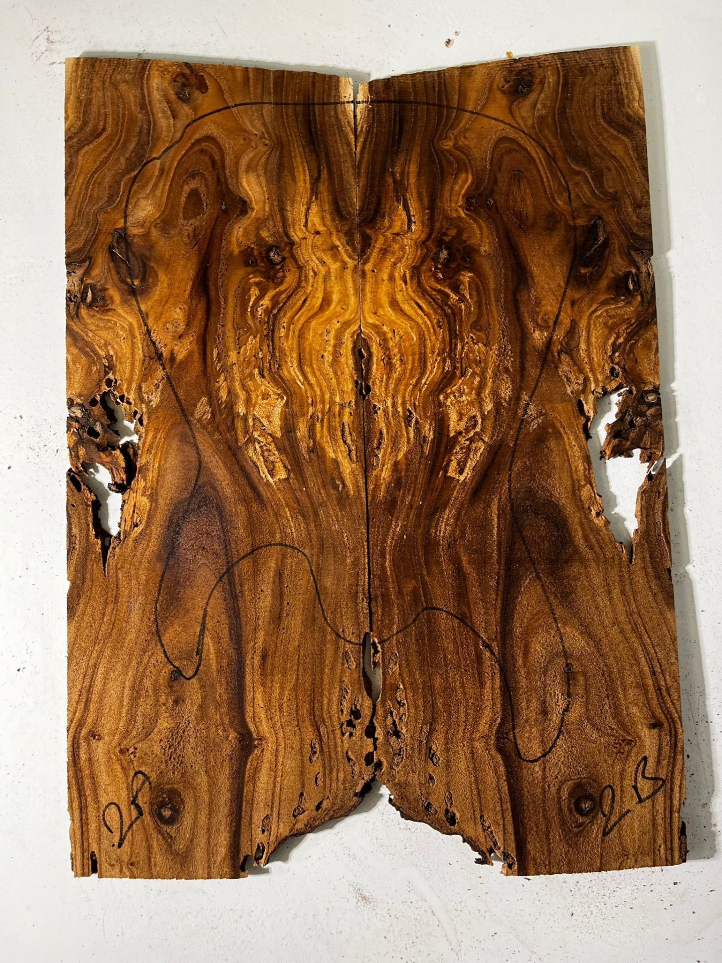 Silverberry Electric Guitar & Bass Drop Top Wood #2