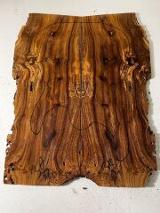 Silverberry Electric Guitar & Bass Drop Top Wood #3