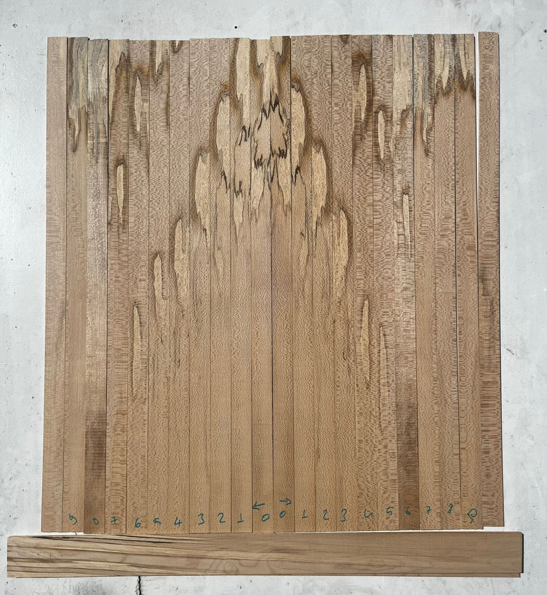 Spalted Flame Maple Oud Ribs Set No;01